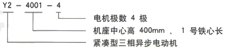 YR系列(H355-1000)高压YR4004-4三相异步电机西安西玛电机型号说明